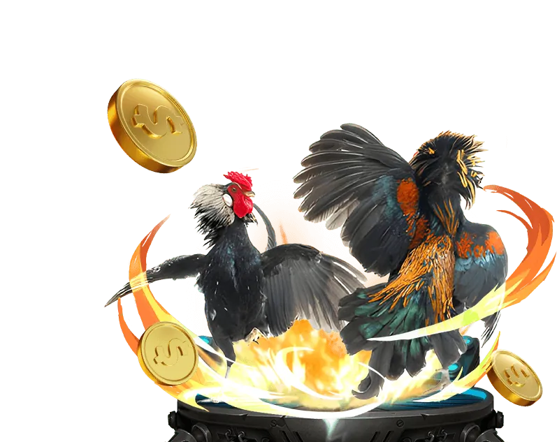 Giao diện đá gà trực tuyến Poki Game Online